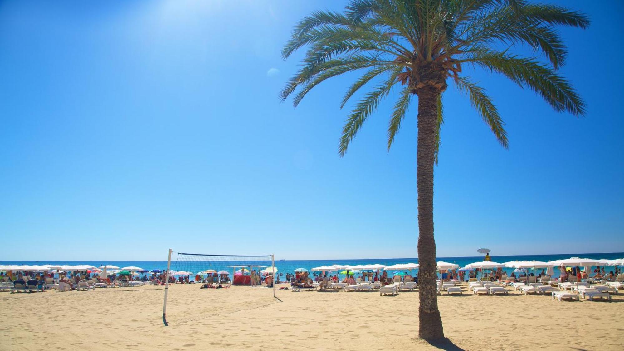 Hb Apartments - Mercado Central - Rambla Alicante - La Suite De La Playa Kültér fotó